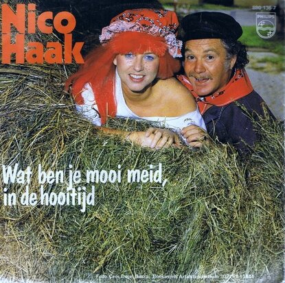 NICO HAAK - WAT BEN JE MOOI MEID, IN DE HOOITIJD