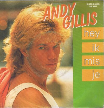 ANDY GILLIS - HEY IK MIS JE