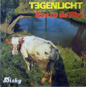 TEGENLICHT - KOE IN DE WEI