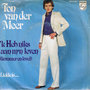 TON VAN DER MEER - 'K HEB NIKS AAN M'N LEVEN (kommer en kwel)