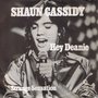 SHAUN-CASSIDY-HEY-DEANIE