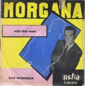STAF-WEZENBEEK-MORGANA