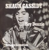 SHAUN-CASSIDY-HEY-DEANIE